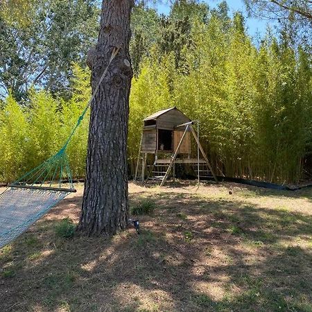 Petit Mas Calme Typique Du Sud ! Villa Valergues Екстериор снимка